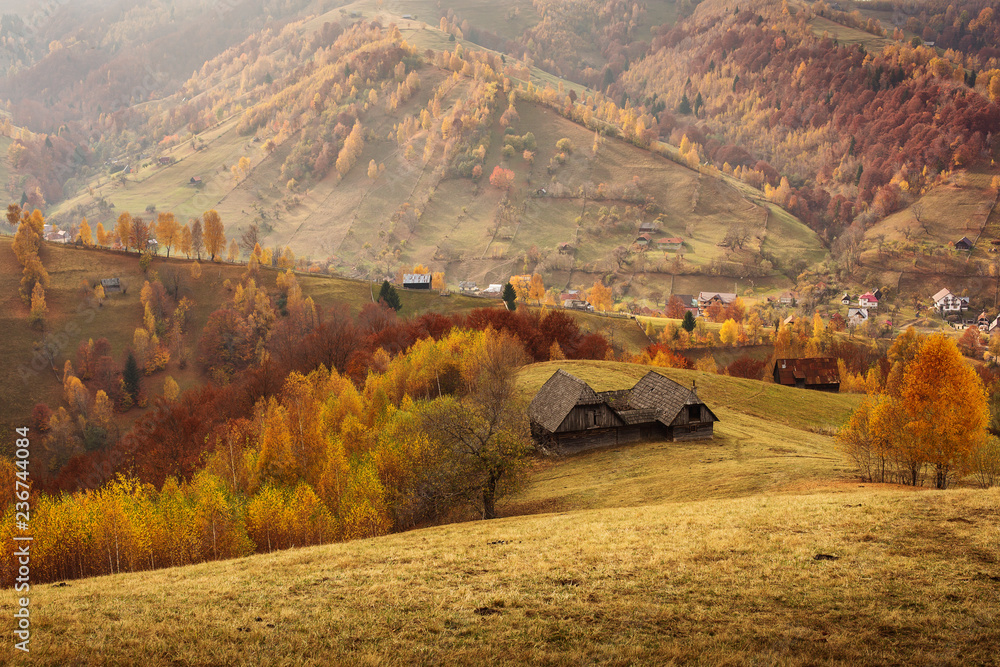 Beautiful landscape in autumn season with amazing colors. Simon, Brasov. Tansylvania - Romania.