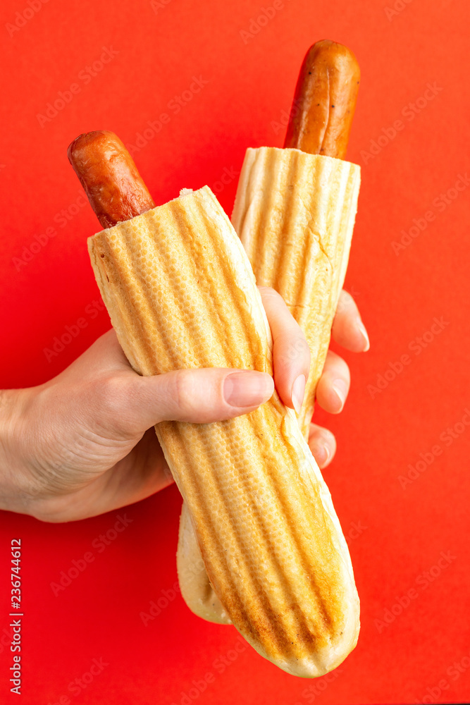 Two grilled french hot dogs in woman's hand - obrazy, fototapety, plakaty 