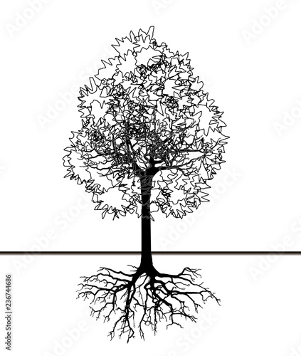 Tree silhouette (Vector illustration).