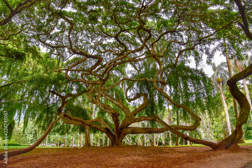 Fotografie Kandy Stadt auf Sri Lanka