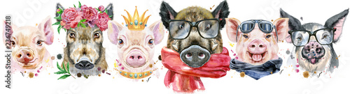 Border from pigs. Watercolo...