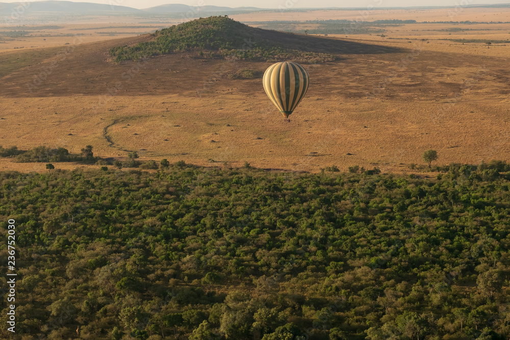 Fototapeta premium balloons flying over savanna