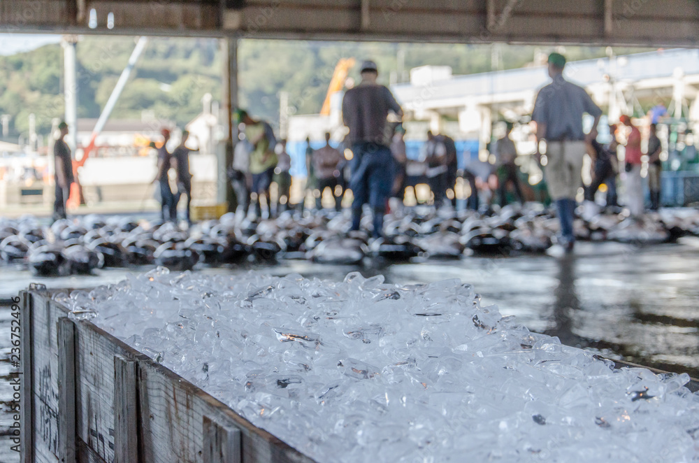 Ice filled box with tuna fish on japanese fish market, shallow depth of field using bokeh effect Ice filled box with tuna fish on japanese fish market, shallow depth of field using bokeh effect