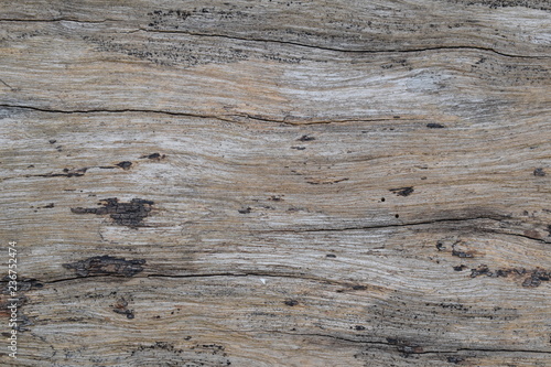 various line pattern texture and some dots of wood surface