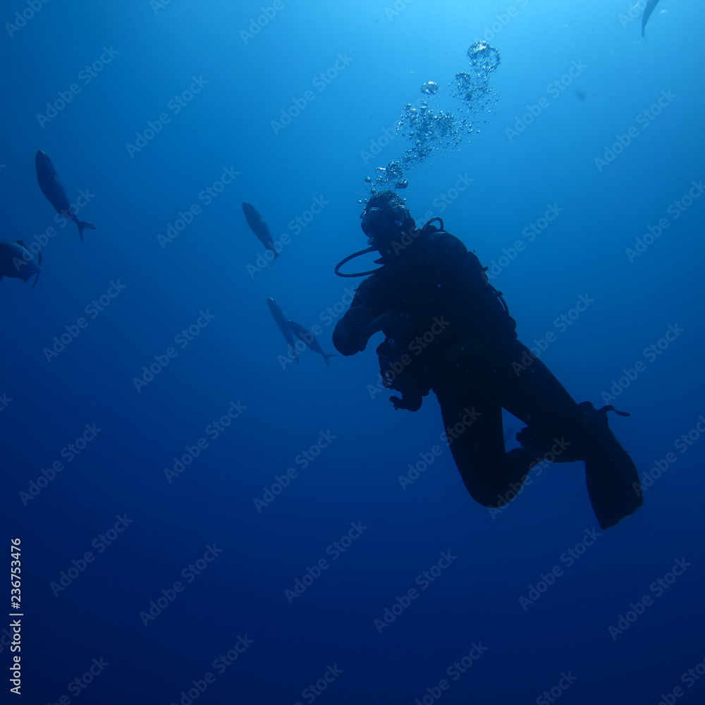 underwater underwater