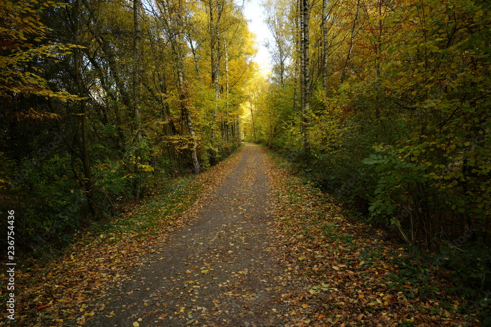 radweg im ruhrgebiet