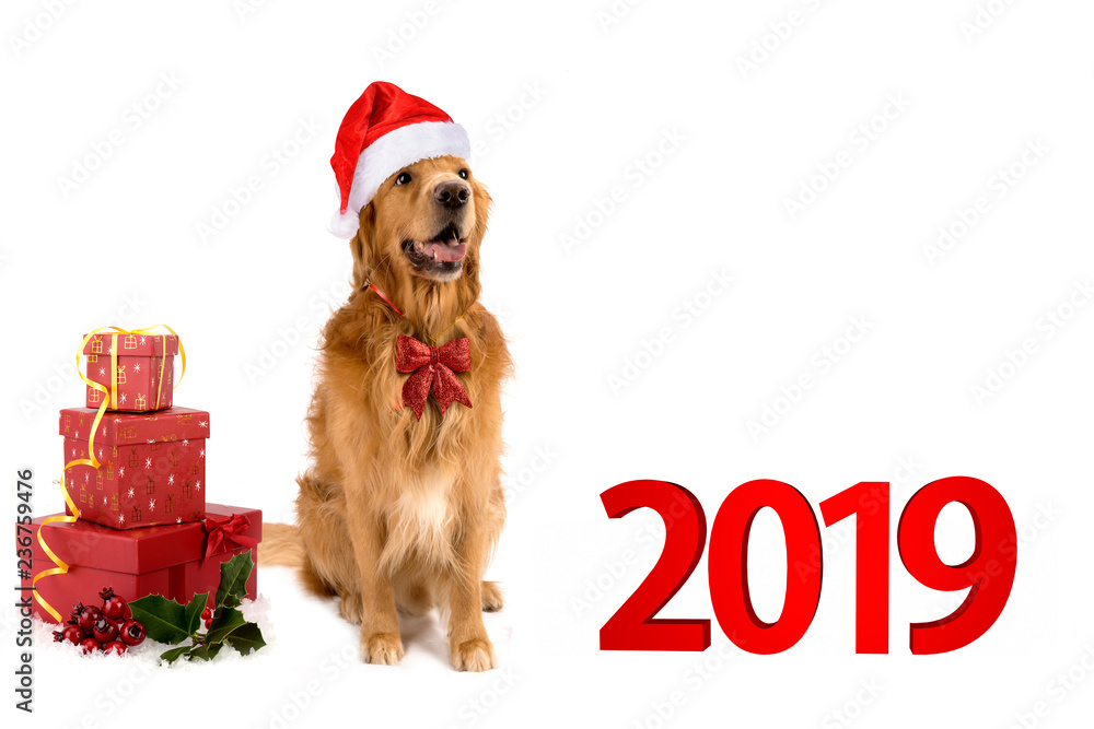 new year 2019 holiday christmas fun gifts tradition snowflake balls