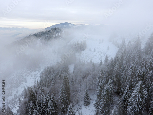 Winter landscape. trees covered with snow in the mountains. © Dmytro Kosmenko