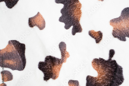 Fototapeta Naklejka Na Ścianę i Meble -  beautiful cow texture
