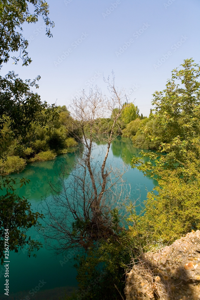 Dry tree on the background of water beautiful color. Dry tree on the background of water beautiful color.