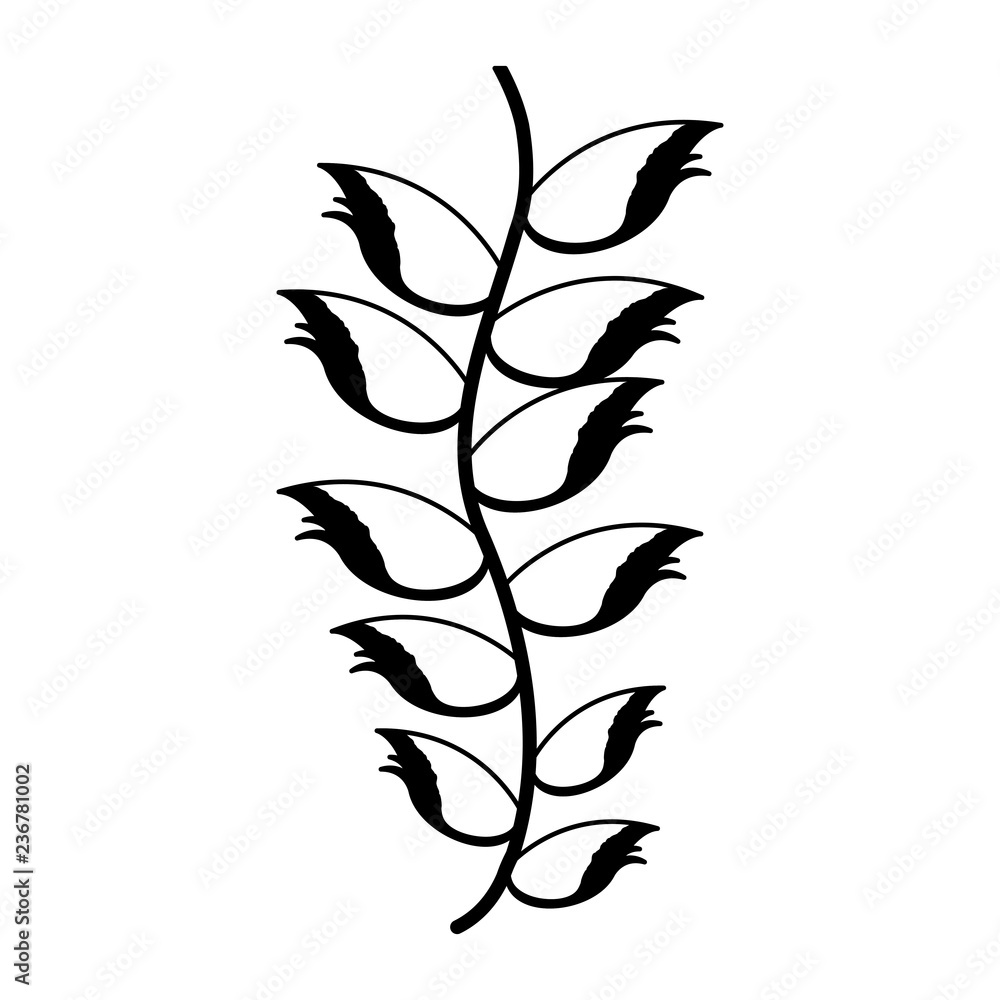 exotic heliconia flower nature tropical exotic heliconia flower nature tropical