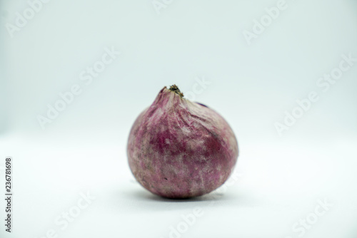 The onian is classified in the Alliaceae family in the Asparagales order. The scientific name is Allium cepa var aggregatum. it is smaller and sweeter than the big onion.