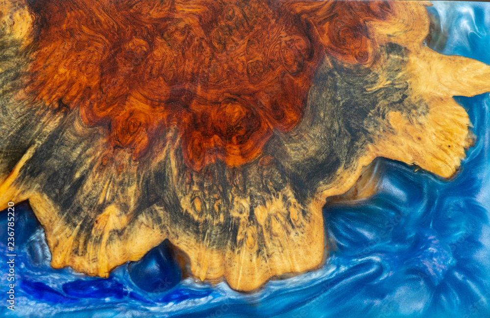 Fototapeta premium Casting blue epoxy resin stabilizing burl wood abstract background