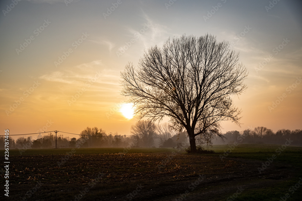 Fototapeta premium Tramonto Invernale Mantova sullo sfondo