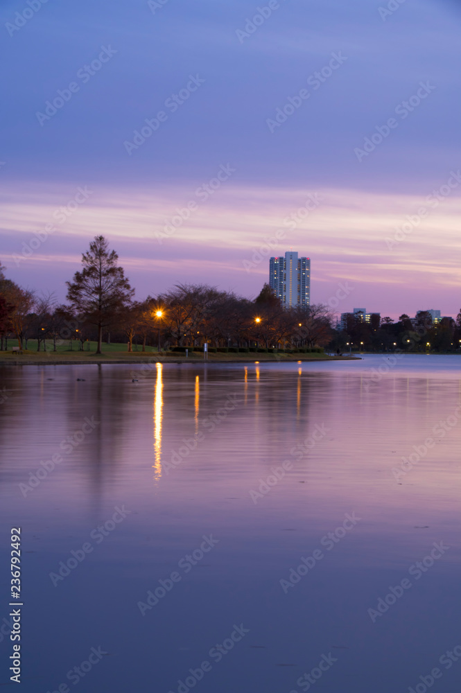 Naklejka premium 夕暮れの水元公園