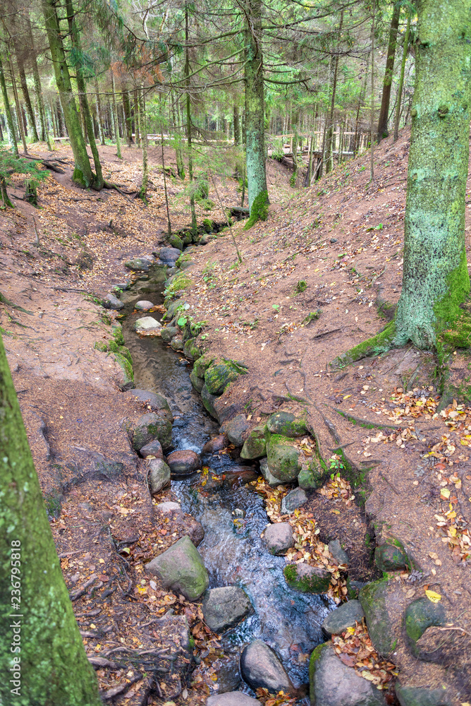 Fototapeta premium large granite rock single in nature
