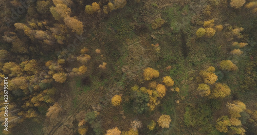 Aerial top view over field and autumn forest in the morning