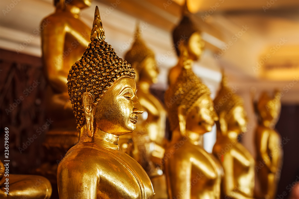 Fototapeta premium Golden Buddha statues in buddhist temple