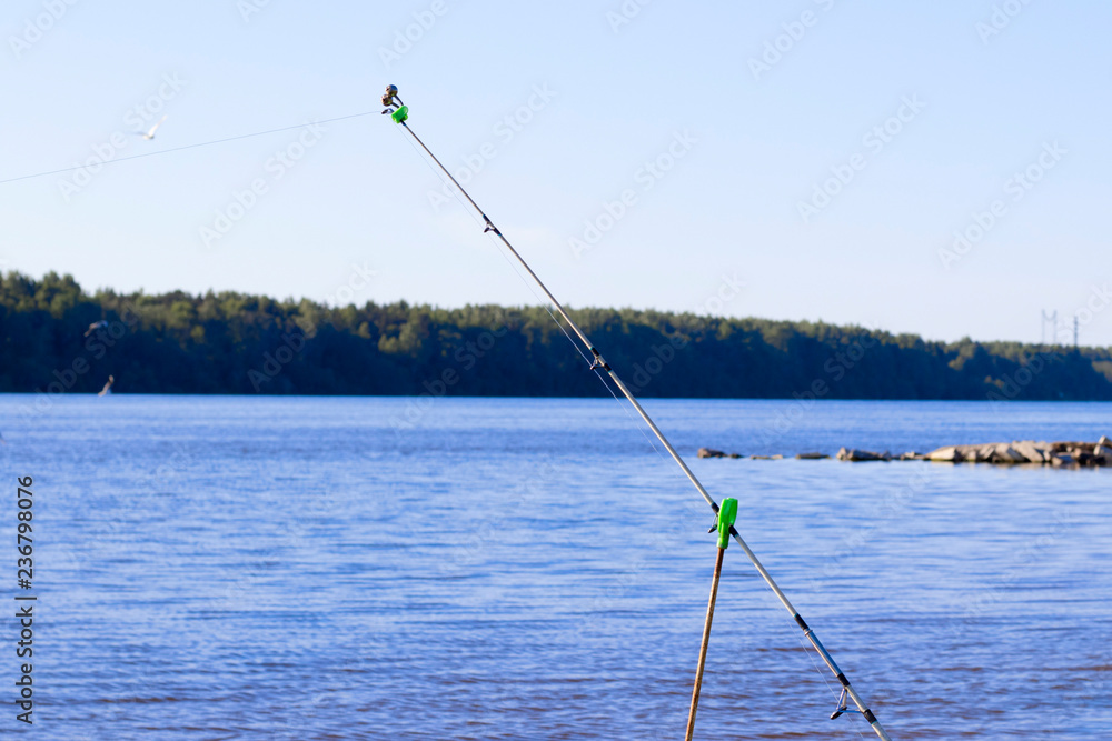 Fishing on feeder, feeder gear against the background of a blurred river and forest. Fishing on feeder, feeder gear against the background of a blurred river and forest.