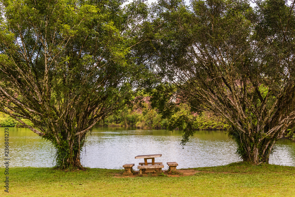 Strong stone picnic table near the lake under the two tree Strong stone picnic table near the lake under the two tree