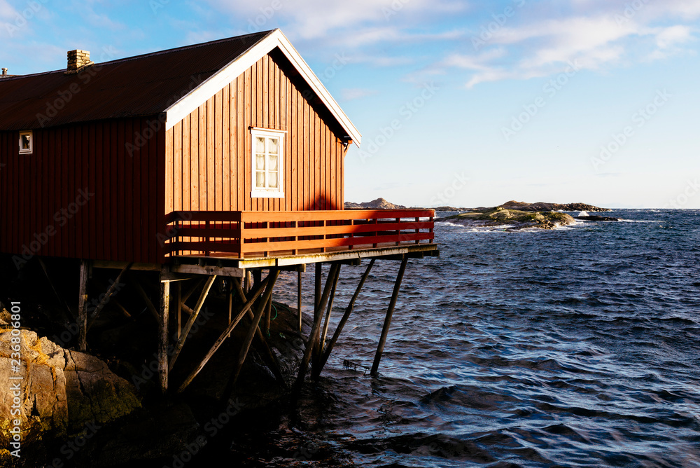 One red white robuer in A, a small village in the Lofoten