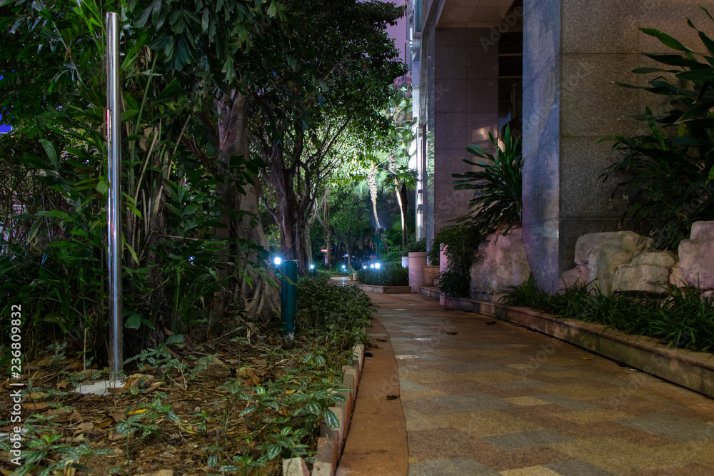 Fototapeta premium Stone path near the house. Night lighting, lights are lit. Green trees, fallen leaves.