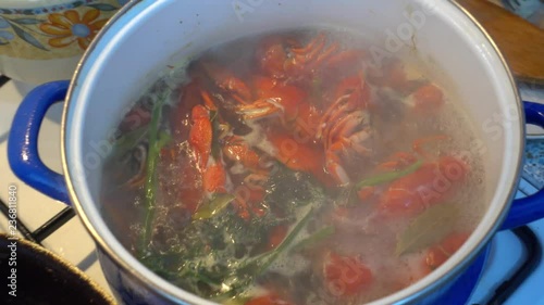 4K Close up and zoom out crawfish boiling with dill and laurel leaf photo