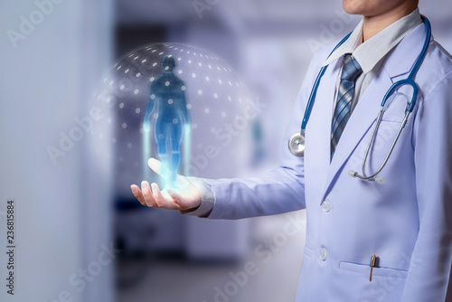 woman doctor holding human model model hologram, futuristic medical hologram and high technology photo