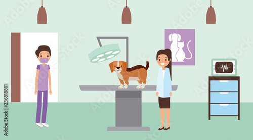 pet and veterinary