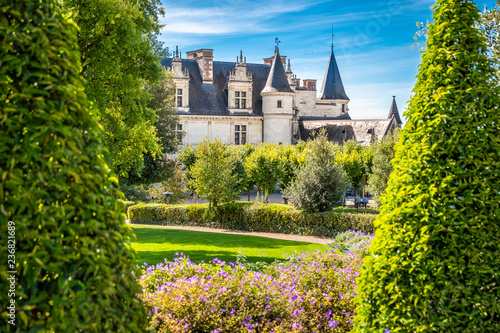 Chateau Amboise framed by trees of beautiful renaissance garden. Loire Valley, France. photo