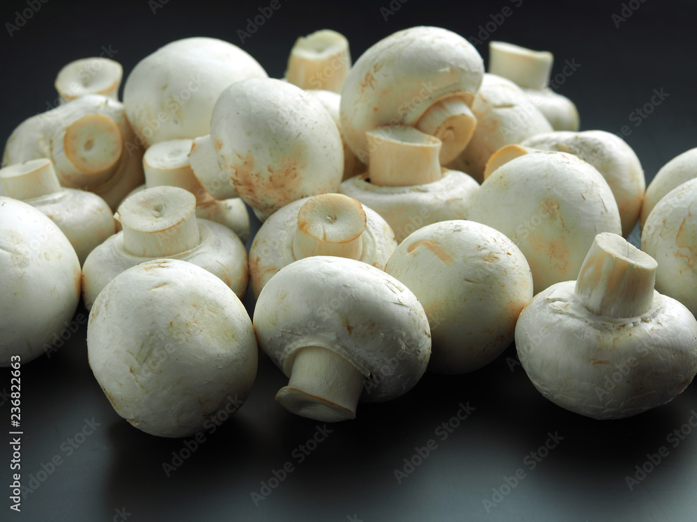 champignons on dark background champignons on dark background