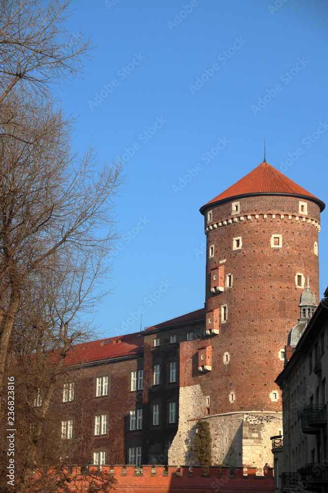 Wawel tower, Krakow
