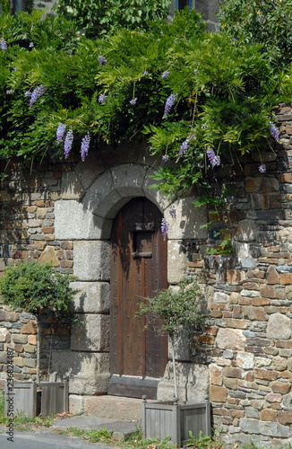 Fototapeta Naklejka Na Ścianę i Meble -  Ville de Genêts, vieille porte en bois, mur en granit, une glycine recouvre le mur, département de la Manche, France