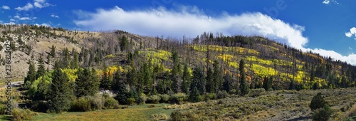 Late Summer early Fall panorama forest views hiking through trees in Indian Canyon, Nine-Mile Canyon Loop between Duchesne and Price on US Highway 191, in the Uinta Basin Range of Utah United States,  © Jeremy