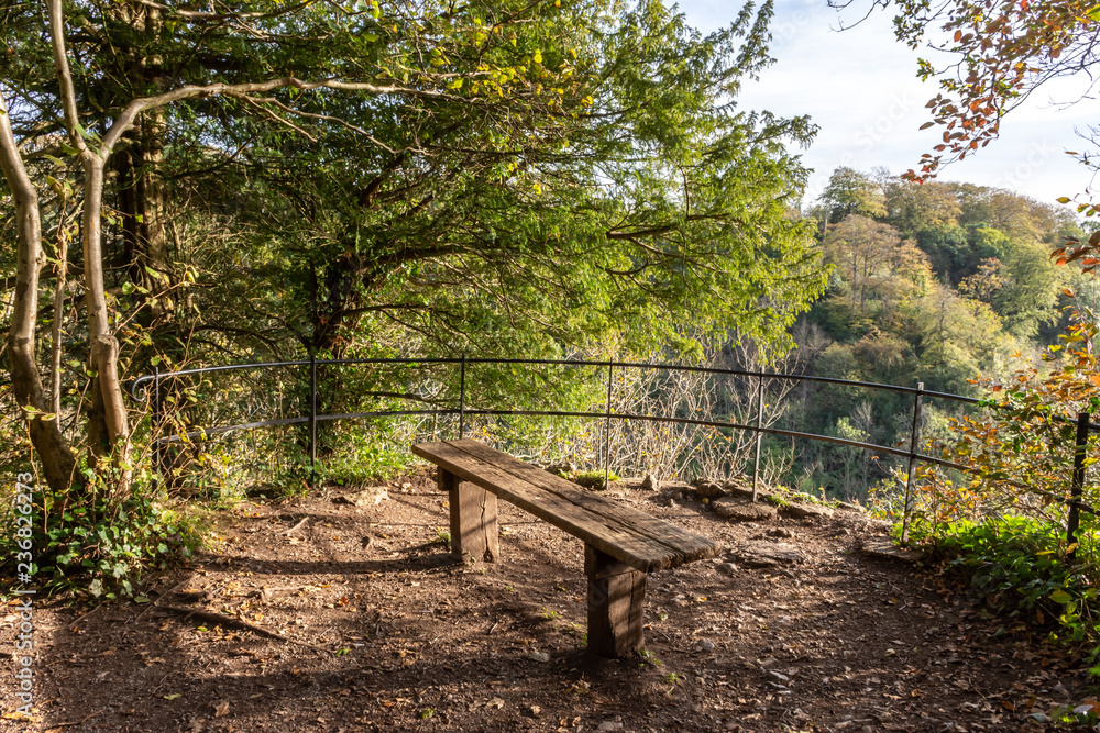 A bench in the grounds of Blaise Castle in Bristol. A bench in the grounds of Blaise Castle in Bristol.