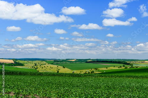Beautiful landscape with green fields under blue sky © ihorbondarenko