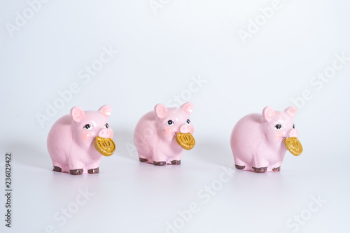Figures of pigs with coins. Symbol of 2019