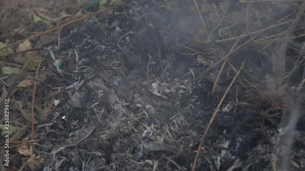 Smoke from the burning of leaves and leaves of hay. Smoke from the burning of leaves and leaves of hay.