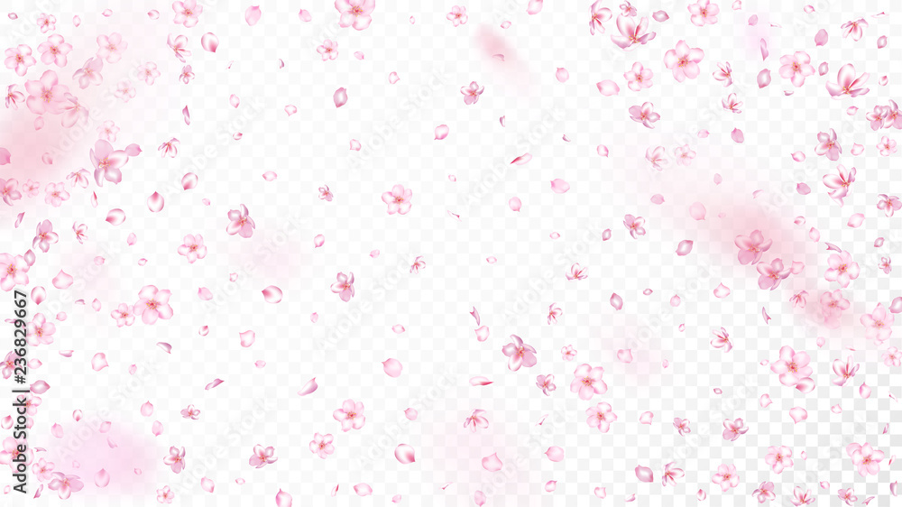 Nice Sakura Blossom Isolated Vector. Pastel Blowing 3d Petals Wedding Design. Japanese Blurred Flowers Wallpaper. Valentine, Mother's Day Beautiful Nice Sakura Blossom Isolated on White