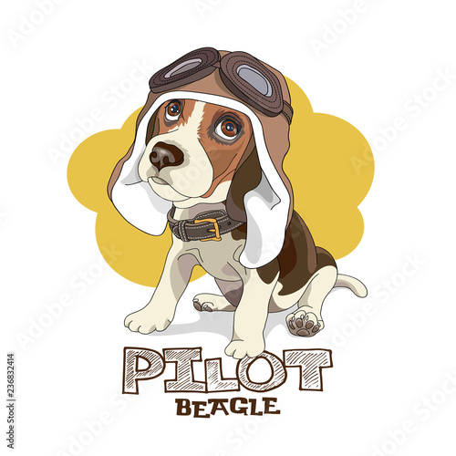 Puppy Beagle in a leather pilot hat on a yellow background. Vector illustration.