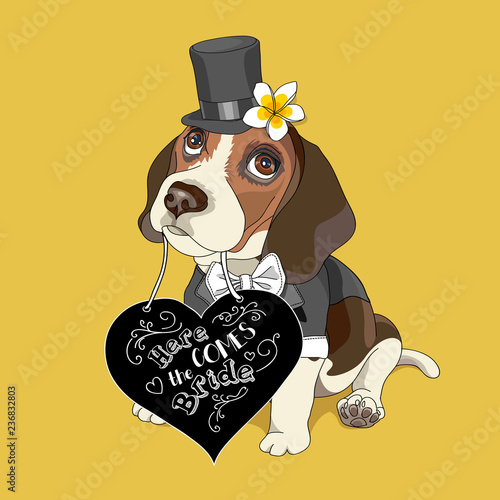 Beagle in a tuxedo and Top hat with heart card on a yellow background. Vector illustration. photo