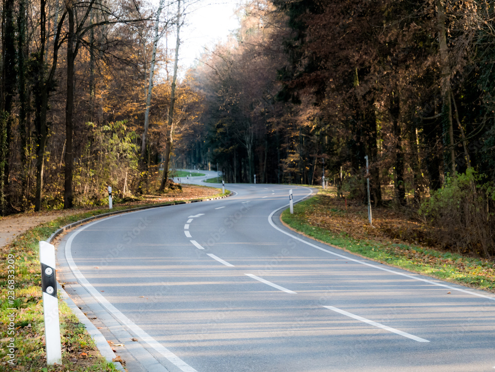 Fototapeta premium Image of road in the forest with lights and shadows