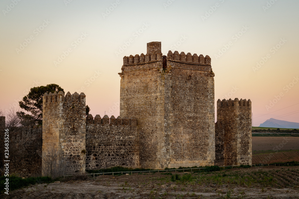 Castillo de Las Aguzaderas in Sevilla Spain