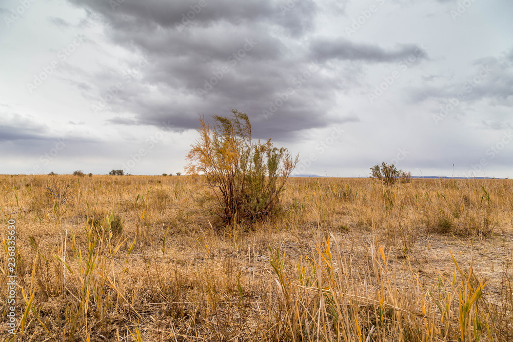 Endless steppes in front of sky and clouds.