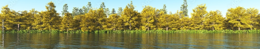 Panorama of the forest over the lake, trees over the water,
