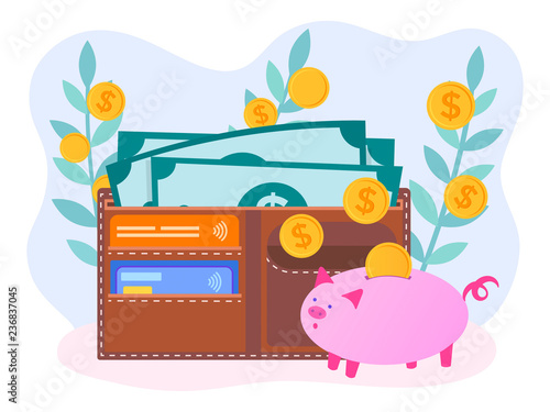 The concept of smart management of savings.