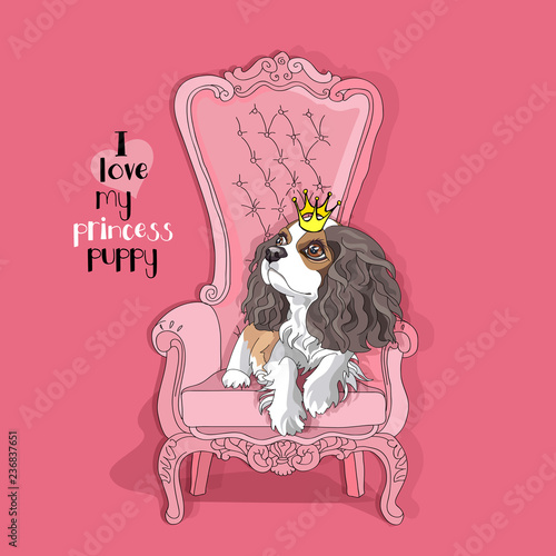 Cavalier King Charles Spaniel Puppy with a princess crown on a pink armchair. Vector illustration.