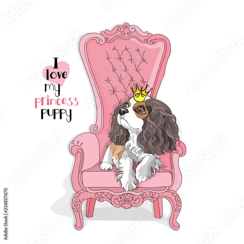 Cavalier King Charles Spaniel Puppy with a princess crown on a pink armchair. Vector illustration.