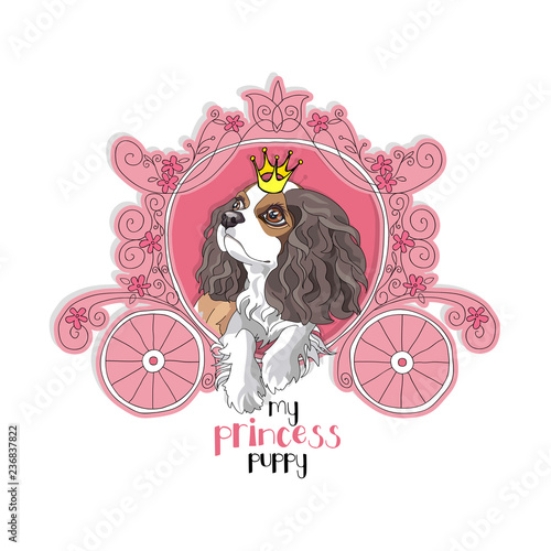 Cavalier King Charles Spaniel Puppy with a princess crown in the pink carriage. Vector illustration.