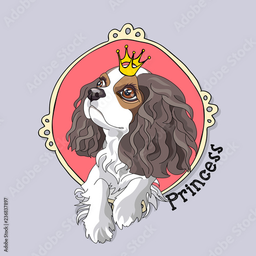 Cavalier King Charles Spaniel Puppy with a princess crown in a pink frame. Vector illustration.